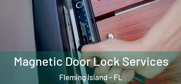 Magnetic Door Lock Services Fleming Island - FL